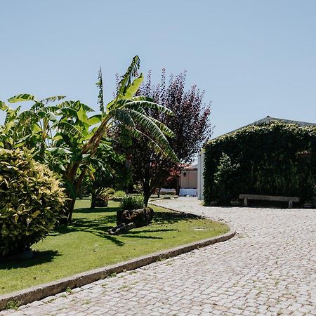 Casa Dos Meus Avos -Villas - Gaia & Porto Vila Nova de Gaia Buitenkant foto