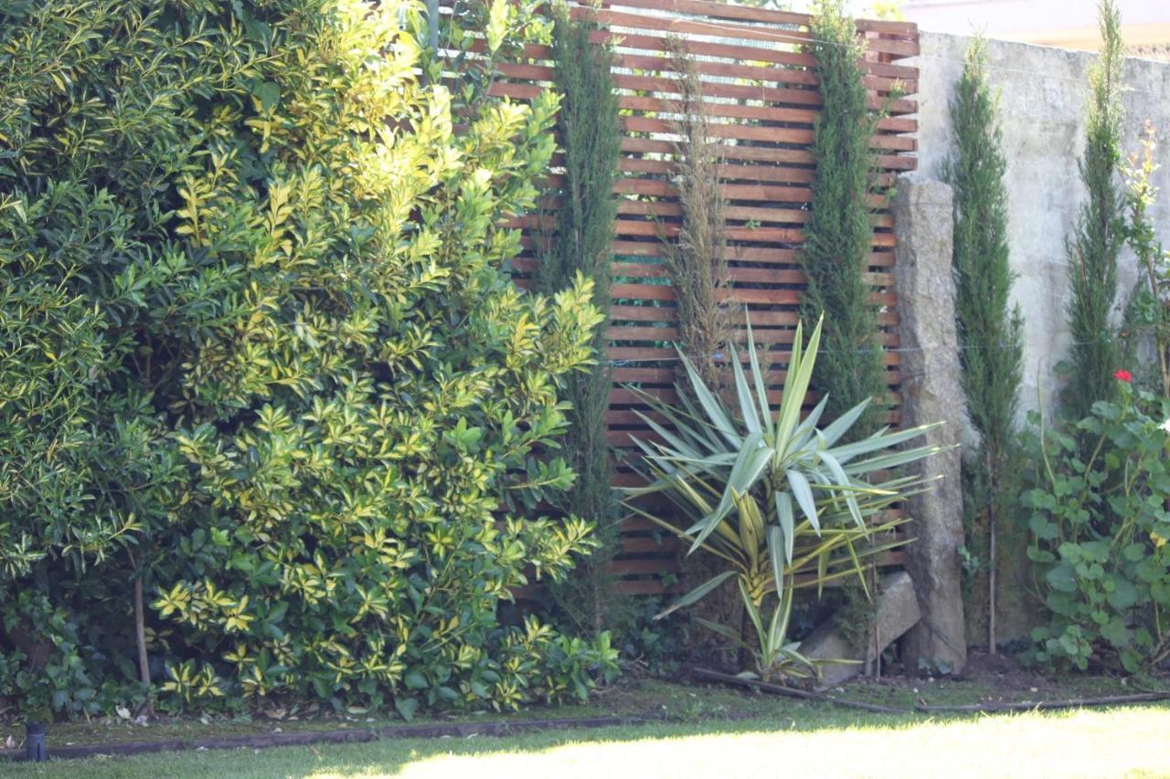 Casa Dos Meus Avos -Villas - Gaia & Porto Vila Nova de Gaia Buitenkant foto